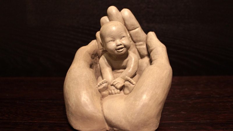 爱丽丝的摇篮更新状态看板:今天动了哪些地方